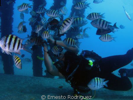 CrashBoat can g9 with inon strobes my buddy playing with ... by Ernesto Rodriguez 