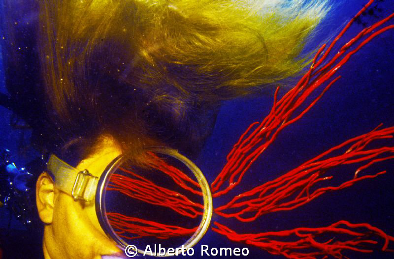 Gorgonian's reflection.  NO P.S. by Alberto Romeo 