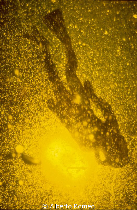 Oniric diver and bubbles.
NO P.S. ONLY ONE SHOOT by Alberto Romeo 
