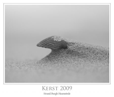 Imagine: Were did this Shell live, how long ago did it di... by John De Jong 