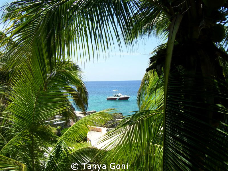 Oceanview Sunset House.....with dive boat...ahhhh look at... by Tanya Goni 