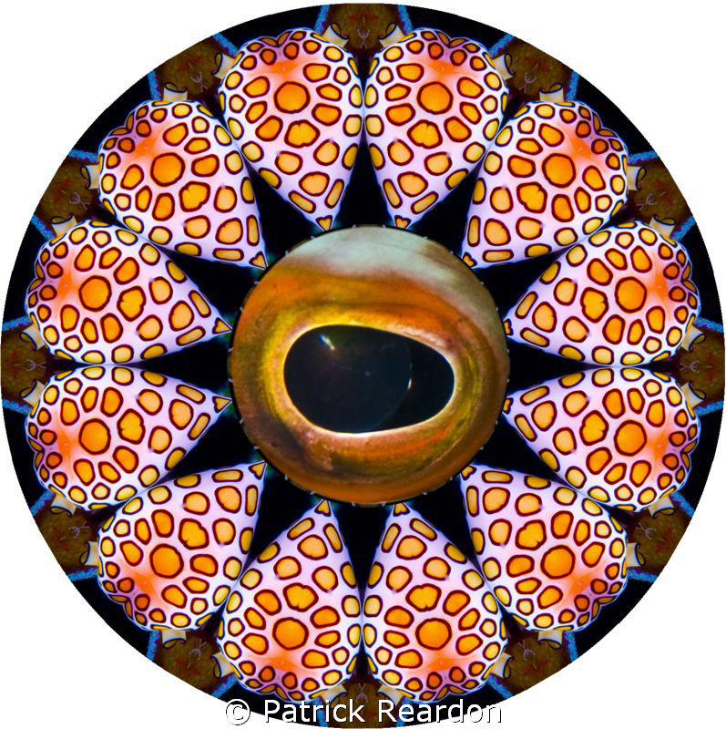 Image taken in the Fanta Sea.  I noticed this sea is not ... by Patrick Reardon 