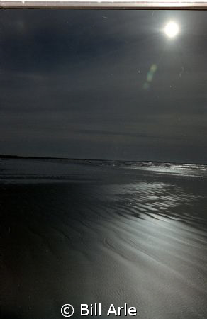 Oregon Coast, USA by Bill Arle 