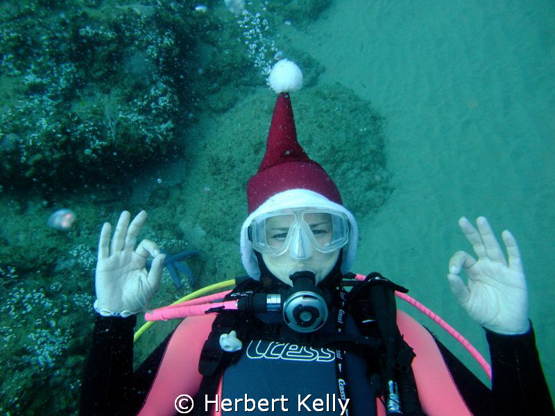 It was Christmas day afterall.... lol by Herbert Kelly 