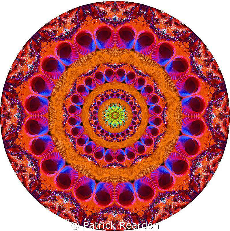 A kaliedoscopic imagemade from sponges and fish scales.  ... by Patrick Reardon 