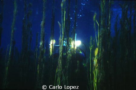 Videomaking in the lake. by Carlo Lopez 
