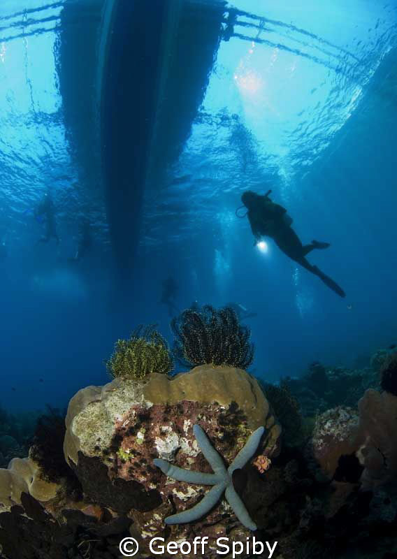 under the boat at the end of the dive by Geoff Spiby 