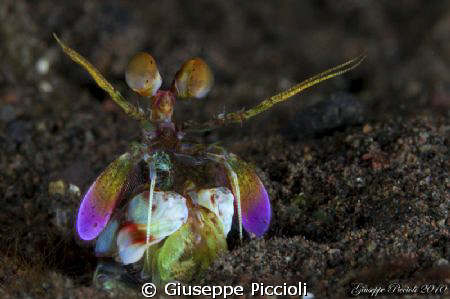 Rainbowed by Giuseppe Piccioli 