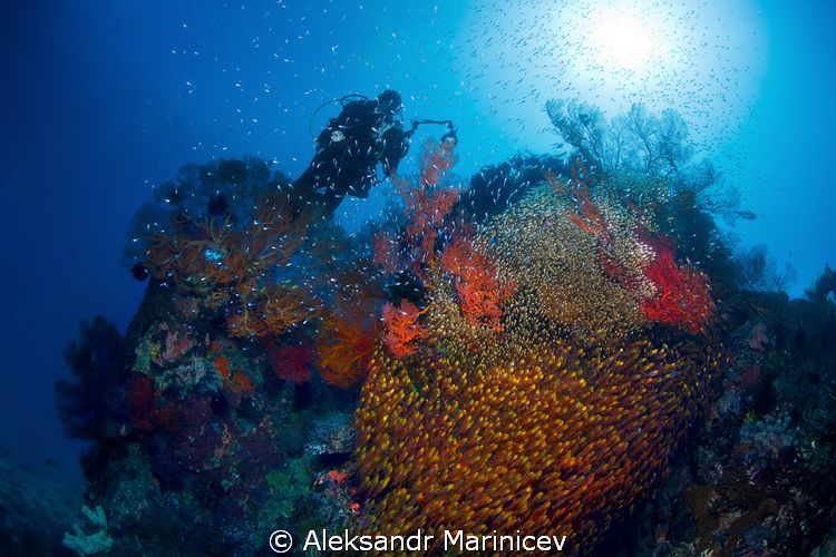 Lambok, Indonesia by Aleksandr Marinicev 