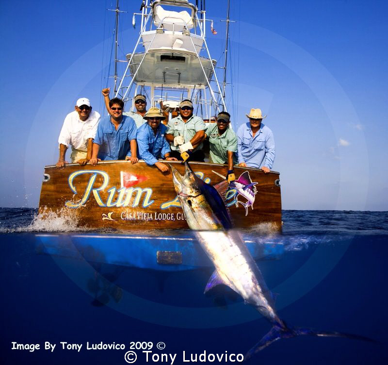 Rum Line by Tony Ludovico 