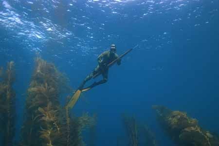 A quiet day. No life in the water, but specatular visibil... by Nate Baker 
