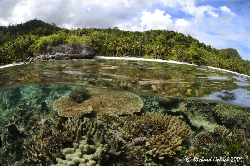 "Jungle & Reef"-Raja Ampat by Richard Goluch 