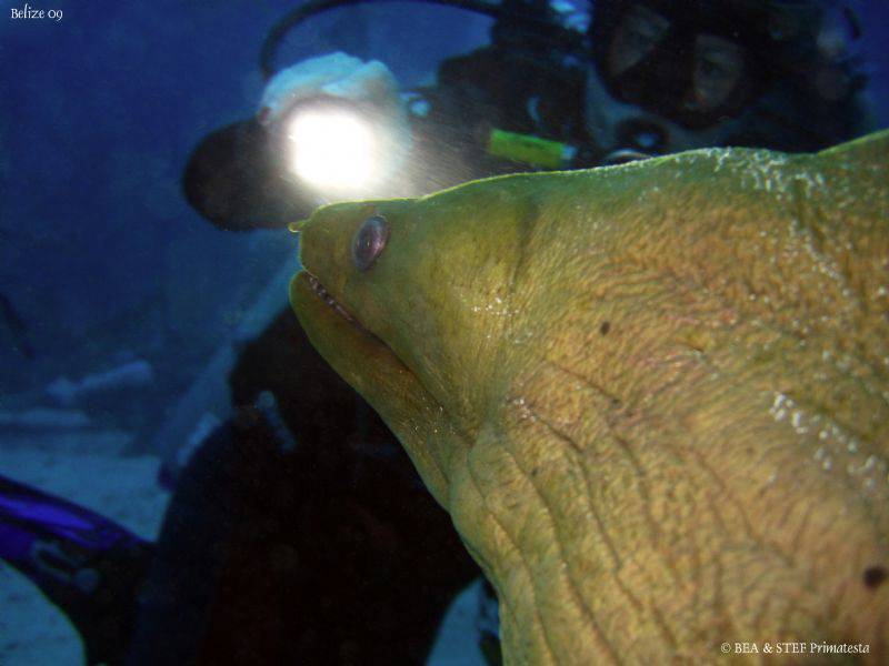 Who is watching who?. San Pedro, Belize. Canon Ixus 980. by Bea & Stef Primatesta 