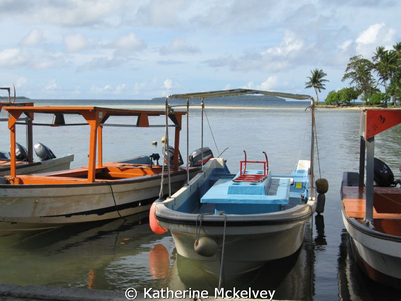 On the dock by Blue Lagoon Dive Shop. by Katherine Mckelvey 