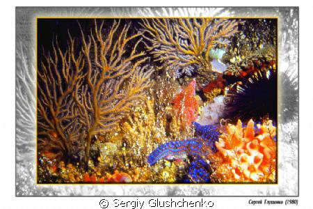 Sea of Japan hav'nt on the list??? by Sergiy Glushchenko 
