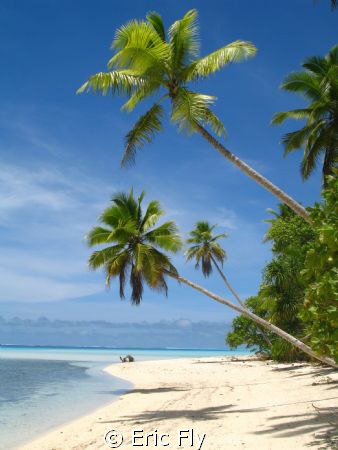 Tropical Paradise-  Ant Atoll, Pohnpei by Eric Fly 