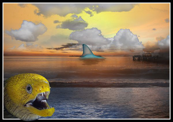 Dreaming of the  holiday... by Dray Van Beeck 