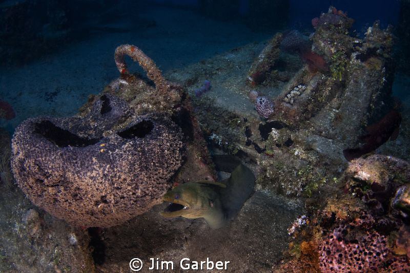 Captain of the "El Aguila" in Roatan.  Permission to boar... by Jim Garber 