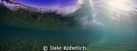 wave by Dale Kobetich 