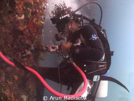 Drillin and chillin

Sealife DC1000 by Arun Madisetti 