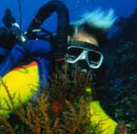 Silent Bubbles. taken in Madang PNG by Dave Baxter 
