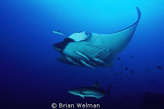 "Graceful"
Fuji Velvia 100 Slide
Manual settings 1/60th... by Brian Welman 