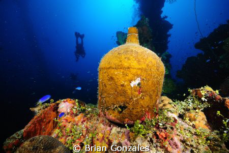 Jug on Wreck, Truk Lagoon by Brian Gonzales 