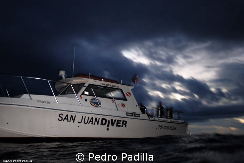 Night Diving @ Guánica's Wall in Puerto Rico. Pictures ta... by Pedro Padilla 
