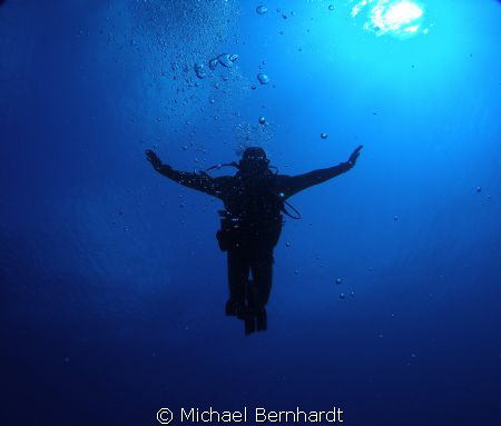 the dive goddess  arrives by Michael Bernhardt 