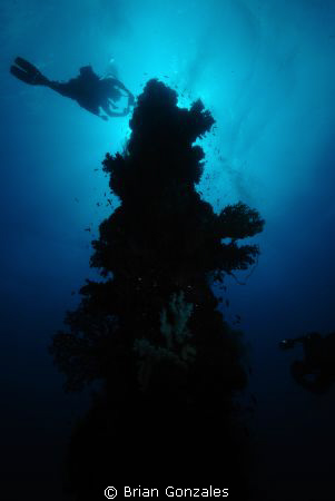 Truk Lagoon, Mast Post by Brian Gonzales 