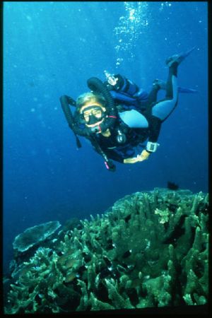 My diving partner using Altantis -1 rebreather in Madang ... by Dave Baxter 