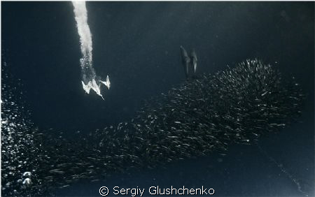 Hunting by Sergiy Glushchenko 