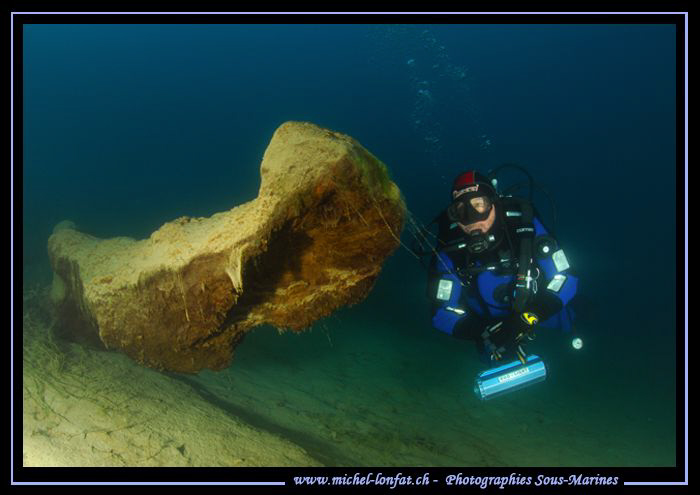 In winter, as the water is colder, the viz in our lakes i... by Michel Lonfat 