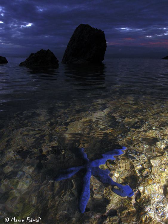 Blu star after the sunset! (Compact camera Nikon Coolpix ... by Marco Faimali 