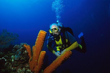 his suit,the tubes,the water,great color if I say so myse... by Michael Odonnell 