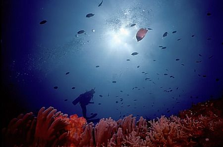 got this shot in Belize over at Ambergis Key.Enjoy by Michael Odonnell 