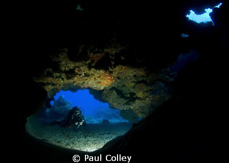 This was taken on a photo workshop with Dr Alex Mustard, ... by Paul Colley 