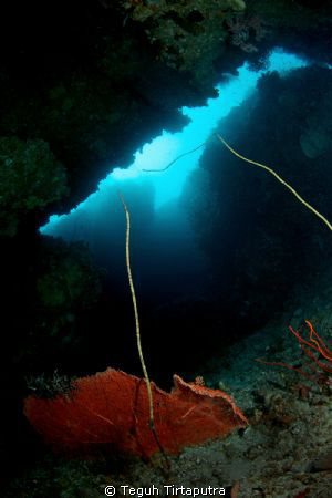 Hukurila Cave at Hukurila Island, Ambon, Indonesia. Canon... by Teguh Tirtaputra 