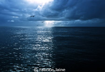 Apartheid. by Fabrice Jaine 