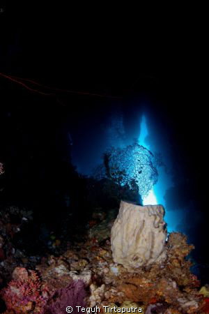 taken at Hukurila Cave, Ambon, Indonesia. Using some ligh... by Teguh Tirtaputra 