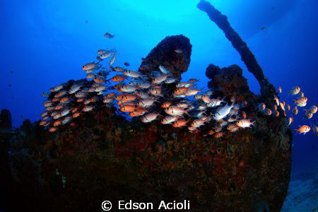 Pirapama's wreck. In Recife, Pernambuco. by Edson Acioli 