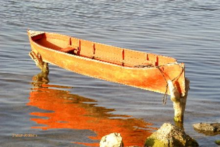 The light was just right for this canoe in Punta Gorda, R... by Shawn Jackson 