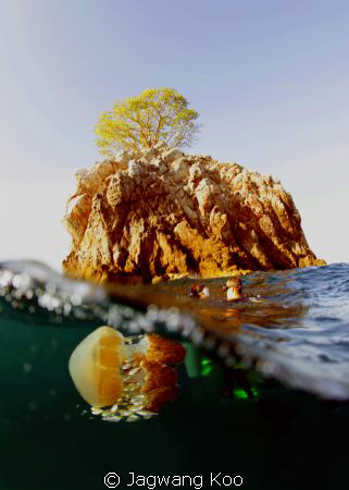 Black Rock and JellyFish by Jagwang Koo 