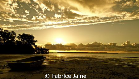 Golden Life. by Fabrice Jaine 