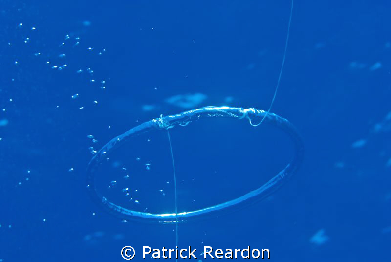 Hanging with the divemaster doing a safety stop.  He blew... by Patrick Reardon 
