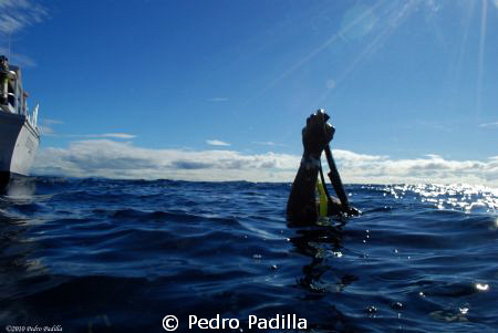 Diver ready to go underwater.
I use my nikon D80 18-55 l... by Pedro Padilla 