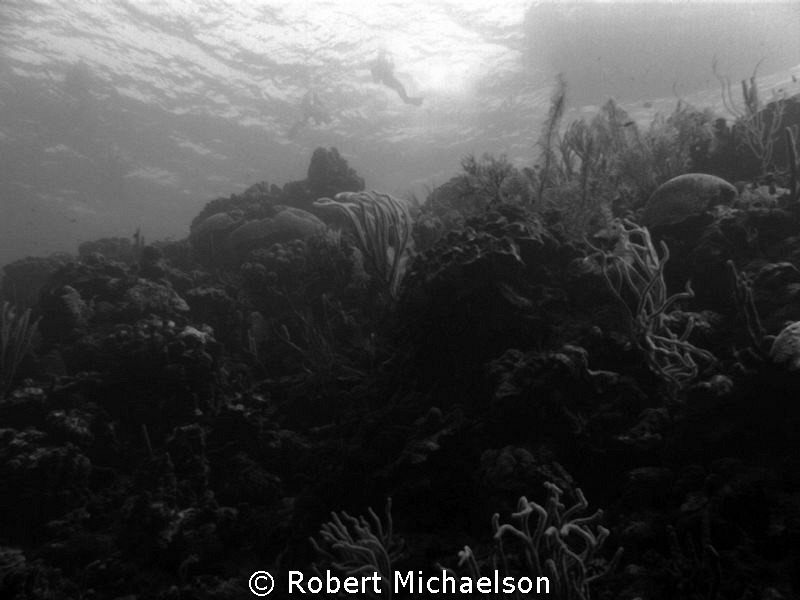 Thought this was best in B & W. Maybe what we look to a p... by Robert Michaelson 