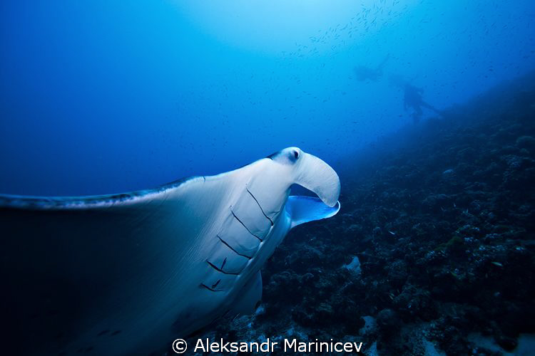 Where are you? by Aleksandr Marinicev 