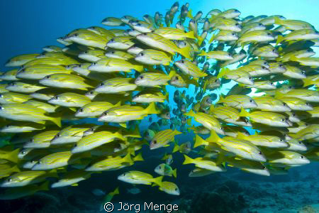 Two ways by Jörg Menge 