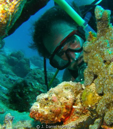 Dive buddy gets a close up look at a scorpionfish by J. Daniel Horovatin 